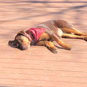 Meet your Posher, John